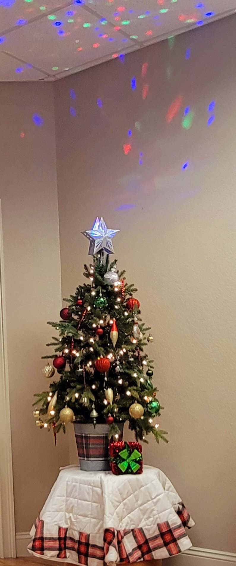 Our Allstate agency is excited to be decorated for the 2023 holiday season.