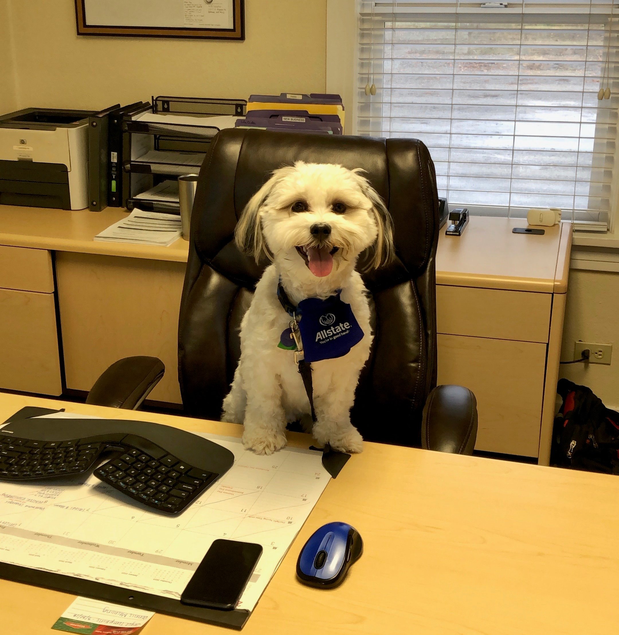 Office manager Rags ready to help