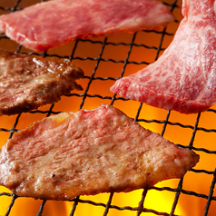 ■食べ飲み放題プレミアム■全111種!豪華焼肉付食べ放+2h飲放プラン4280円→【3780円】