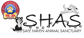 Save Haven Animal Sanctuary