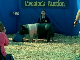 Supporting local 4H and FFA projects in our area.