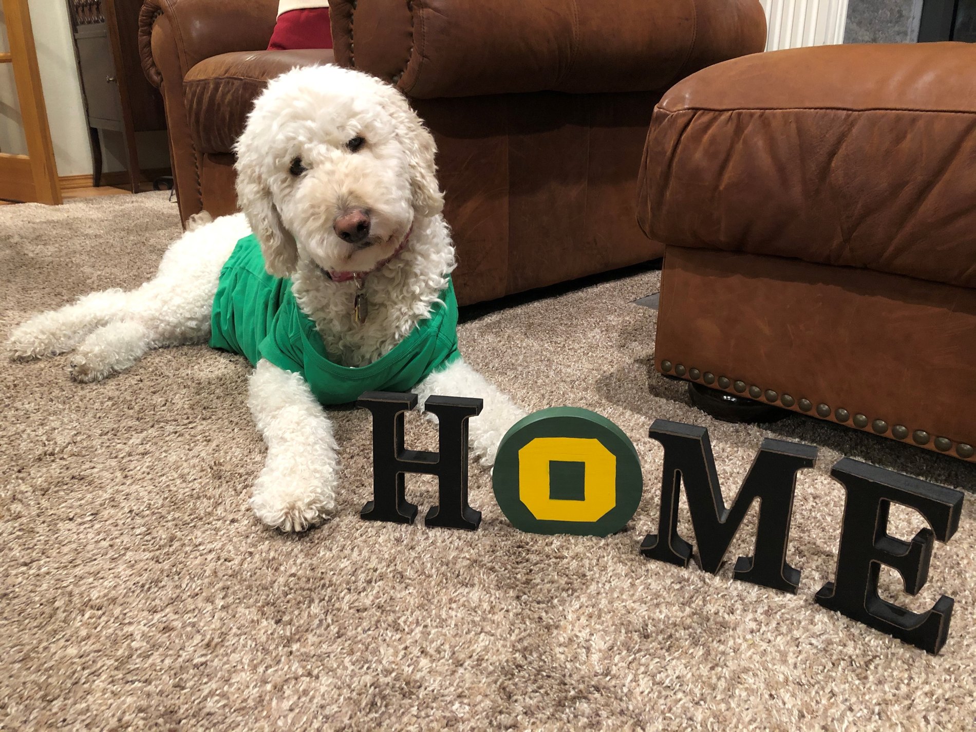 Go Ducks!