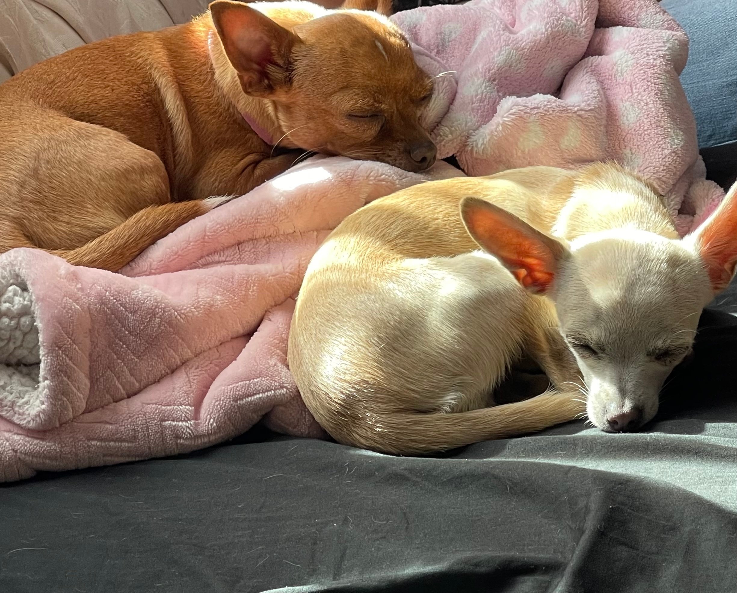 It’s alright if you need to sleep on it. We’re here when your ready.