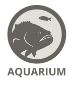 Aquarium Aquarium
