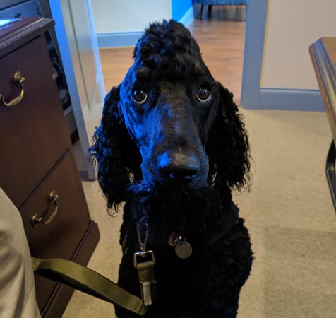 Photo of agent