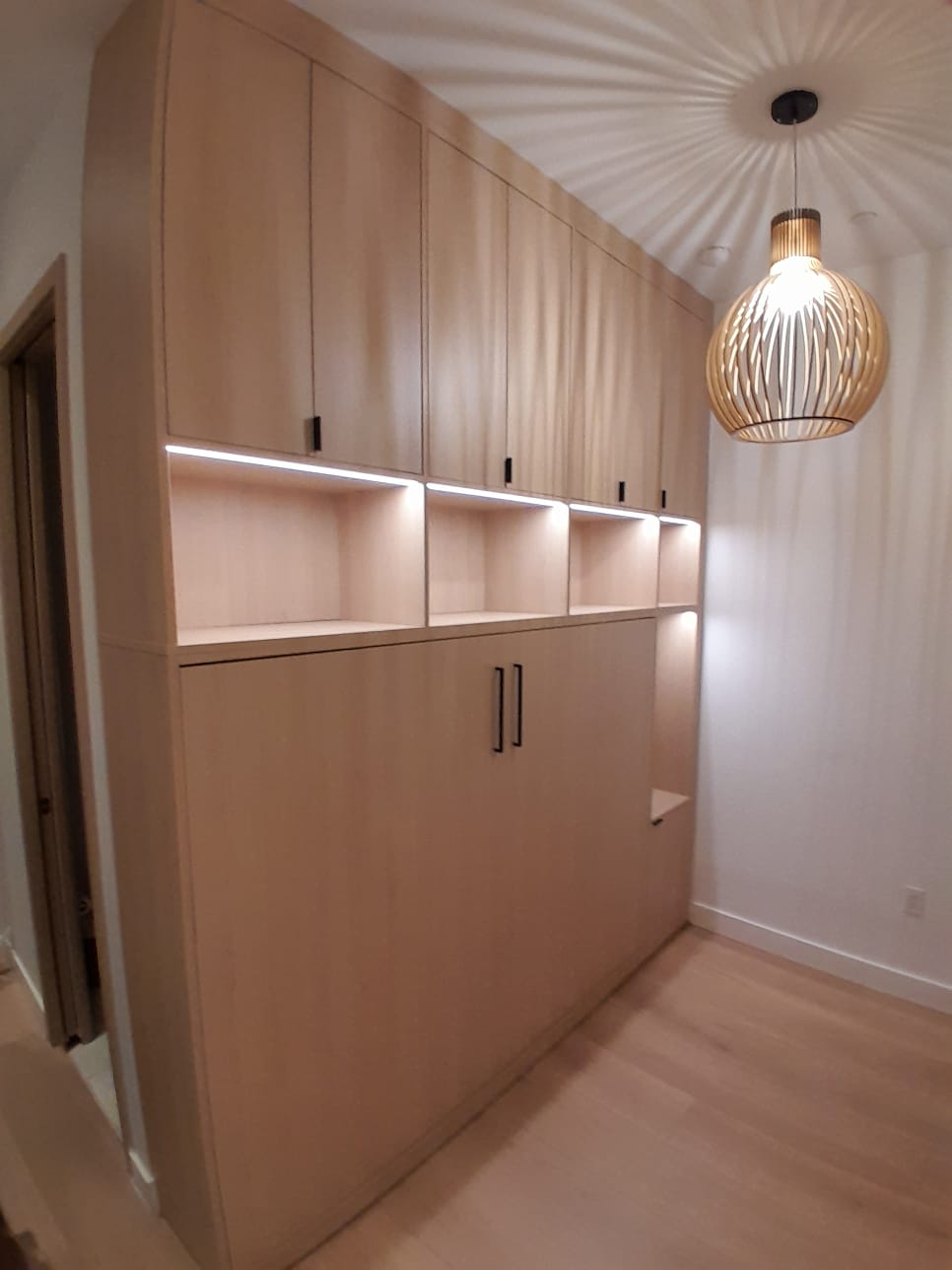 Make Room For More! Horizontal Wall bed and Storage