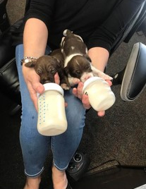 It is bottle time here at Allstate.