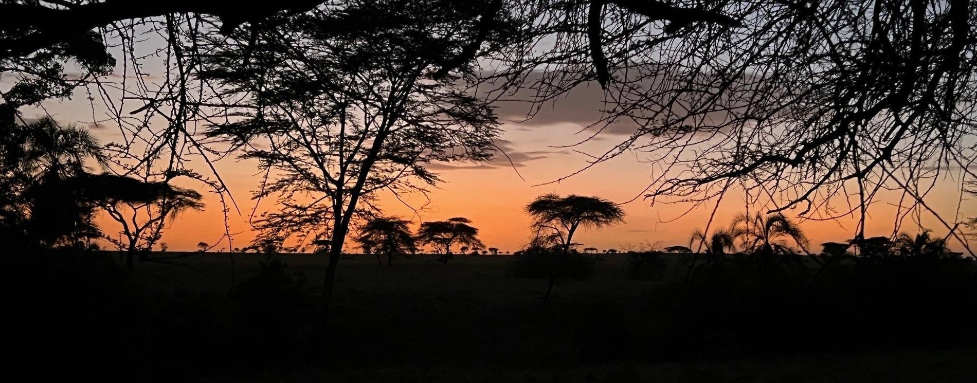 Hero Background Image