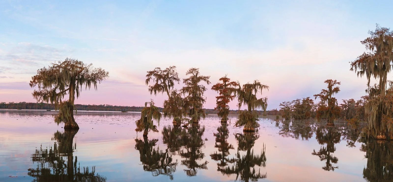 Hero Background Image