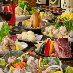 12~1月◆イカ姿造・馬刺し・選べる鍋付「九州名物満喫」コース◆2h飲放付10品【5000円(税抜)】