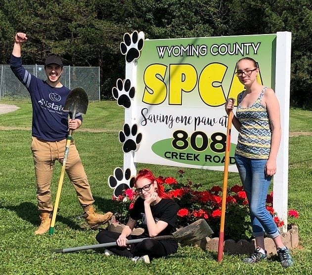 Our team had the amazing opportunity to volunteer at the Wyoming County SPCA