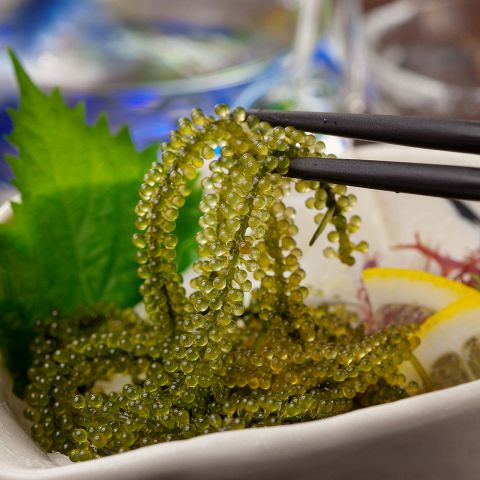 ☆★☆ 沖縄郷土料理 ☆★☆