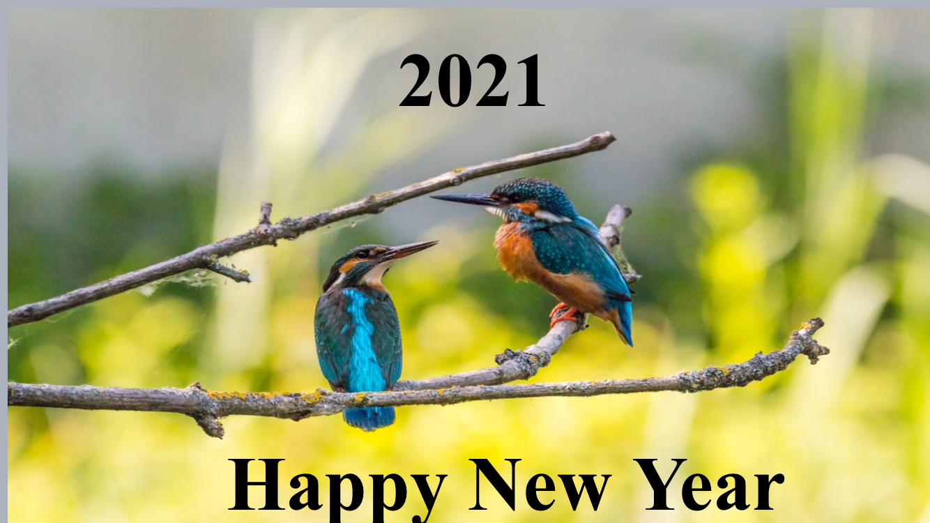 Happy new year 2021 to my dearest customers.