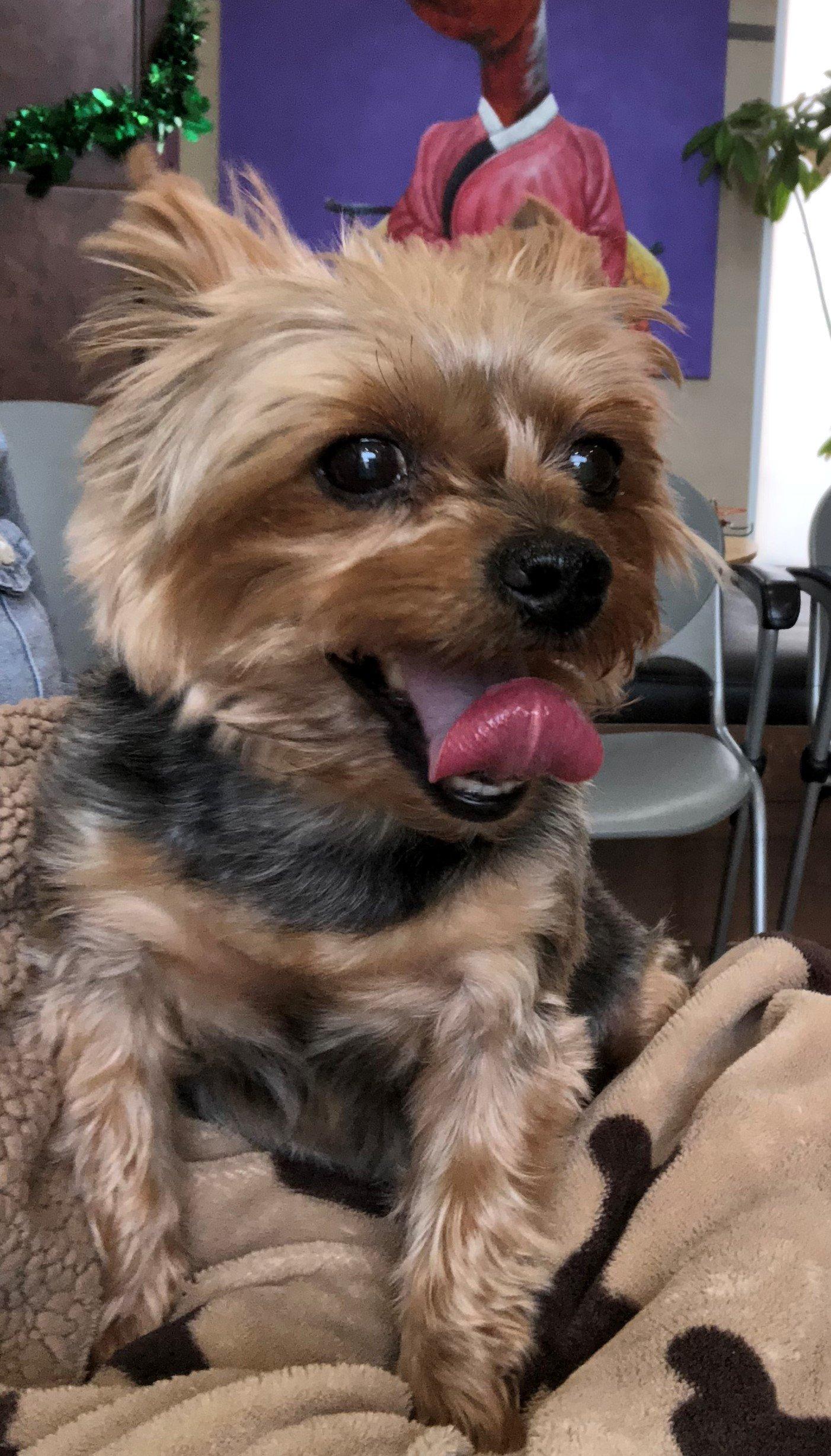 Photo of Cooper