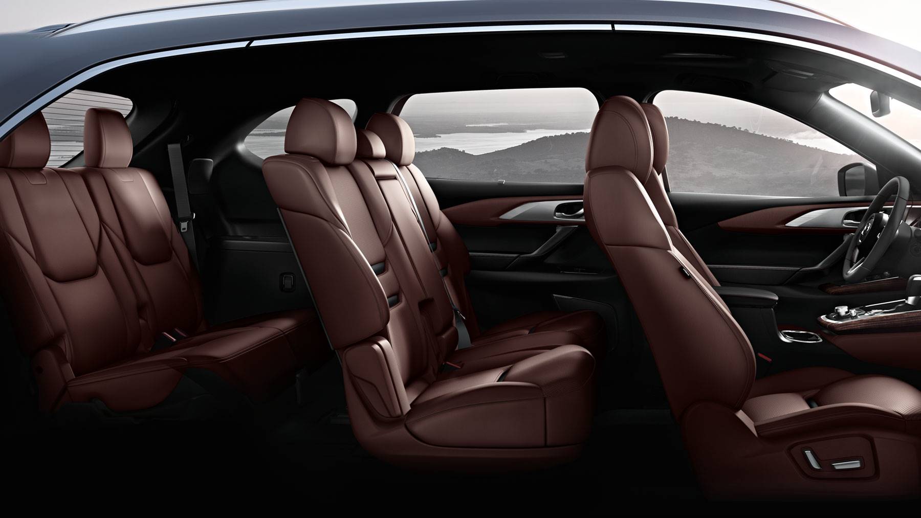 Image of Vehicle Trim