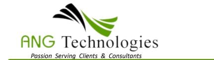 Meet ANG Technologies a premiere consulting business.