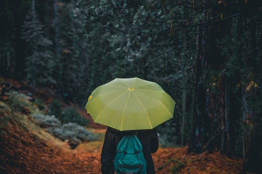 Farmers® Umbrella Insurance