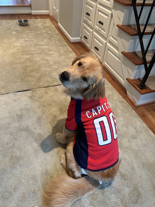 Barley is one of many office dogs here at the Agency! She is proudly cheering on the Washington Capitals during the 2025 playoffs.