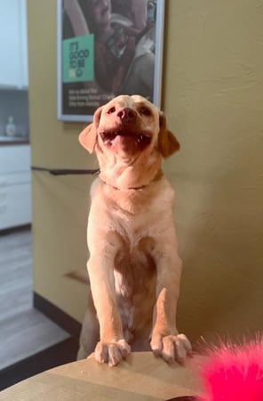 Photo of agent