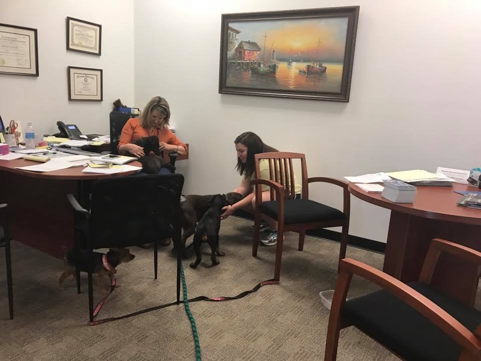 Lots of puppies here at the Sandra Rabon Agency
