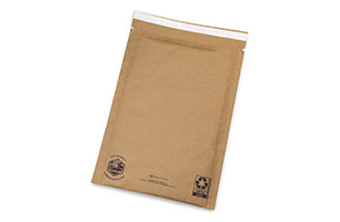 Recyclable mailer
10-1/4"x15"