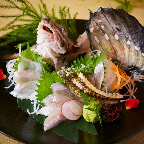 本日のおすすめ鮮魚 お刺身