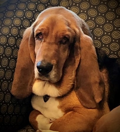 Photo of agent