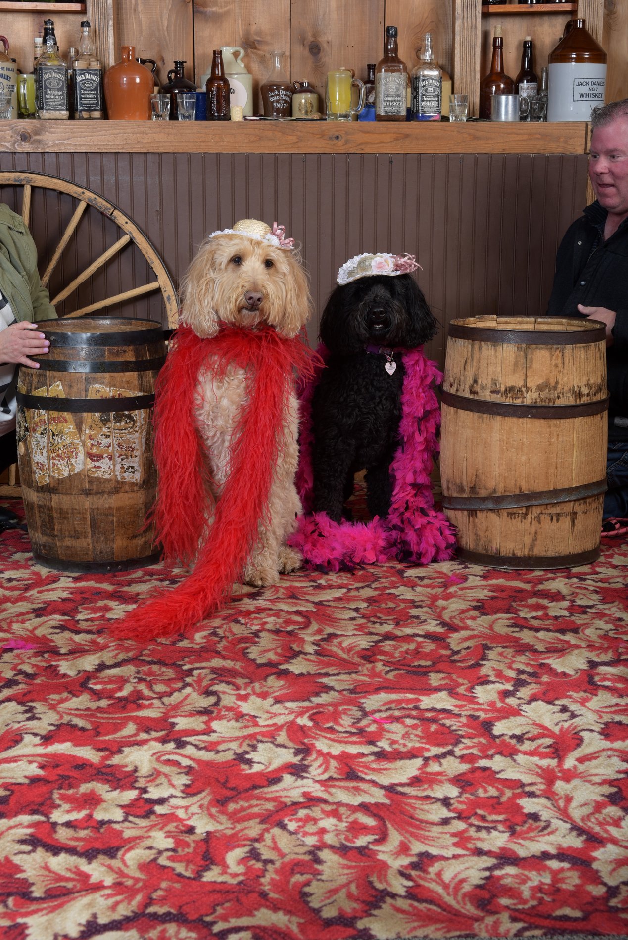 Stella & Paisley, Our Directors of FUN!