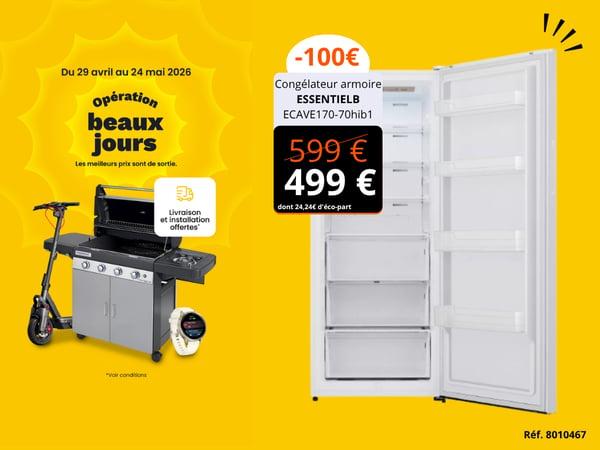Congélateur armoire ESSENTIELB ECAVE170-70hib1
