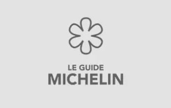 Michelin Logo