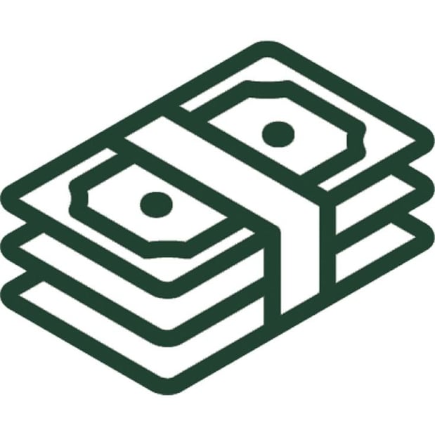 Stack of Money Icon