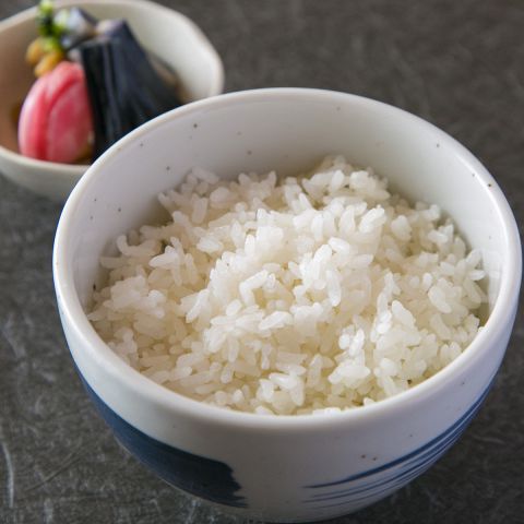 ごはんセット