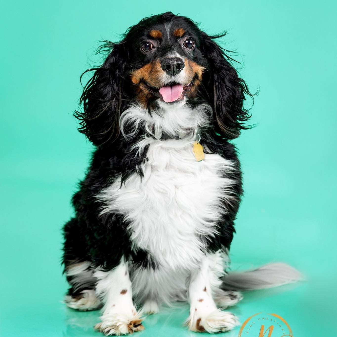 Photo of Albert
