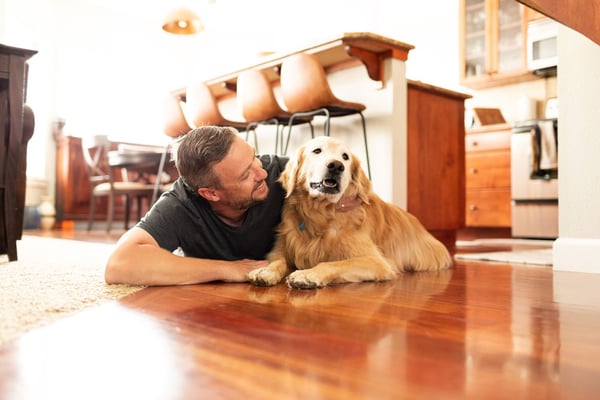 Pet Insurance