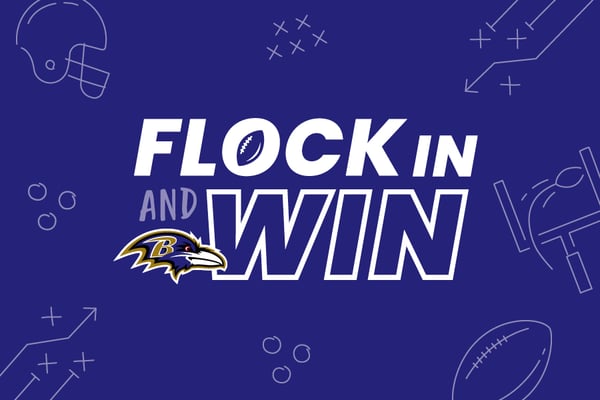 flock in and win