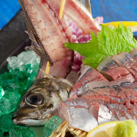 鯵の活き造り
