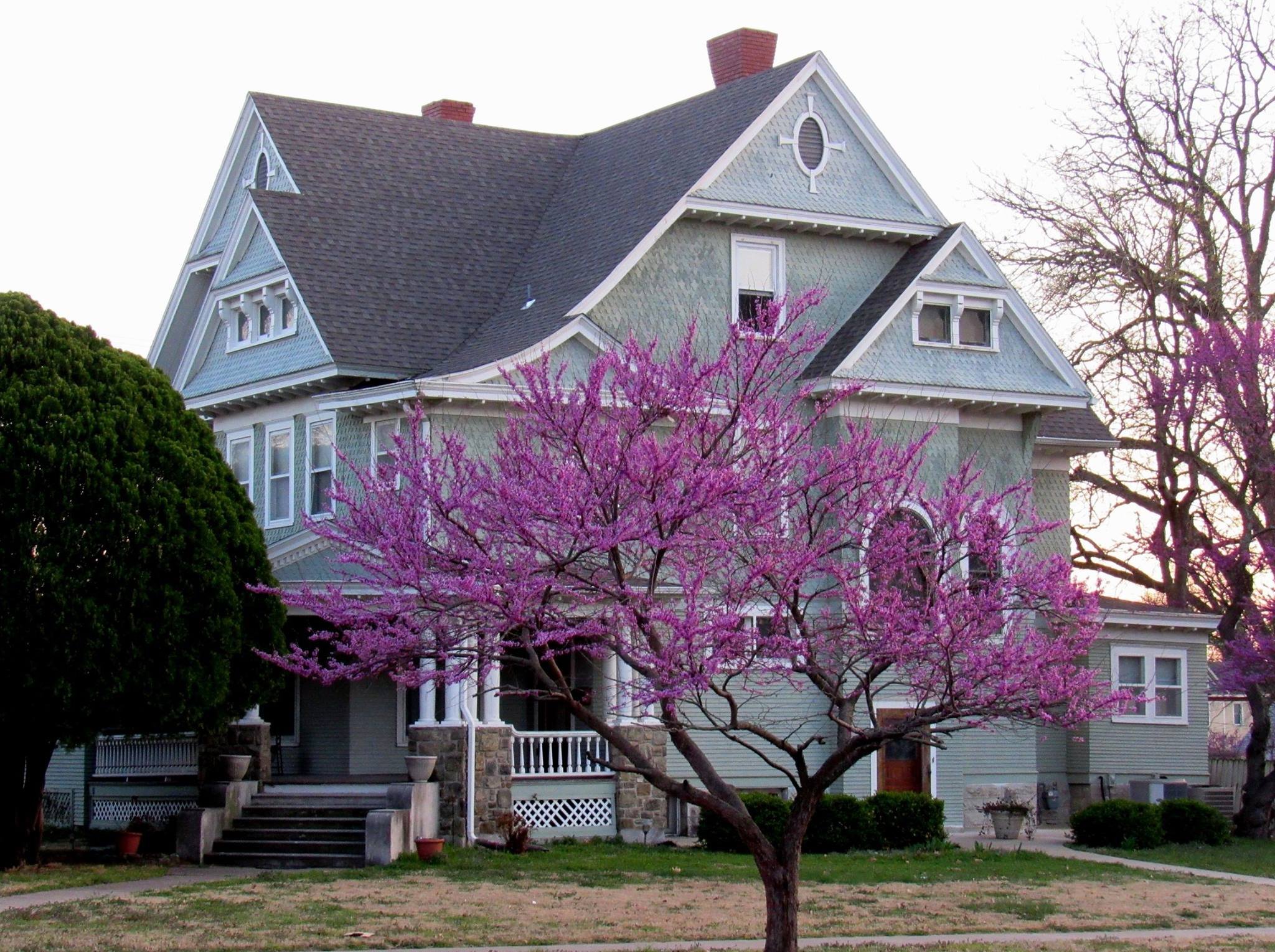 Promotional image