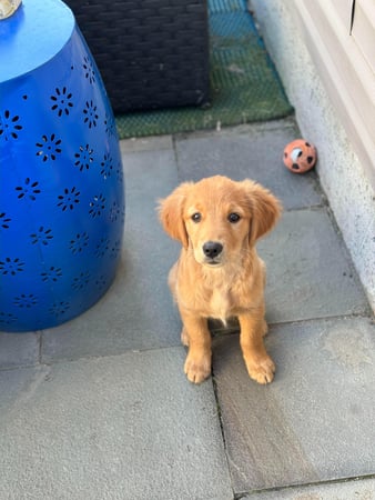 Photo of agent