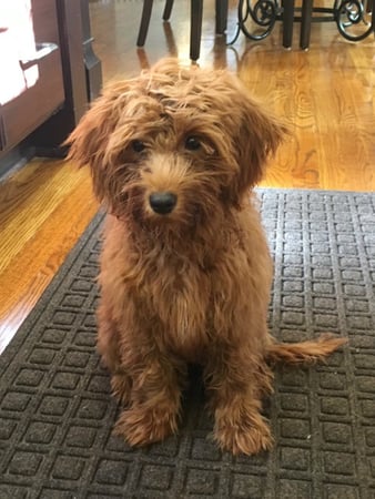 Photo of agent