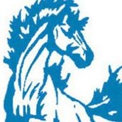 Mora Public Schools - Mustangs!
