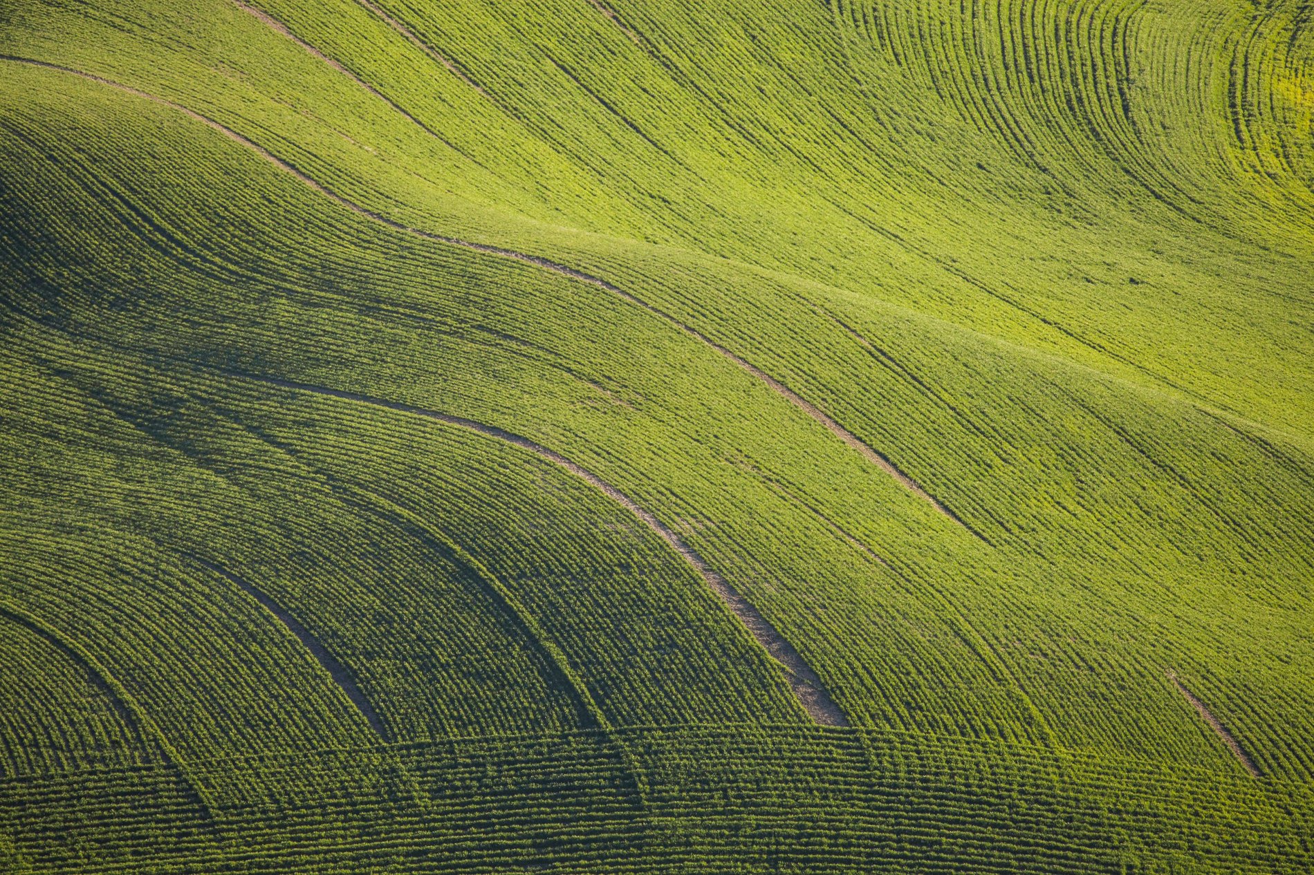 Hero Background Image