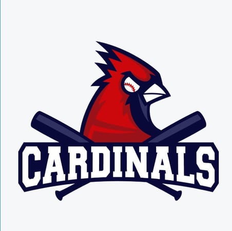 Canton Cardinals Travel Baseball Program