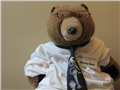 Photo of Murrray Bear