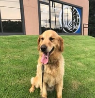 Agent photo gallery image