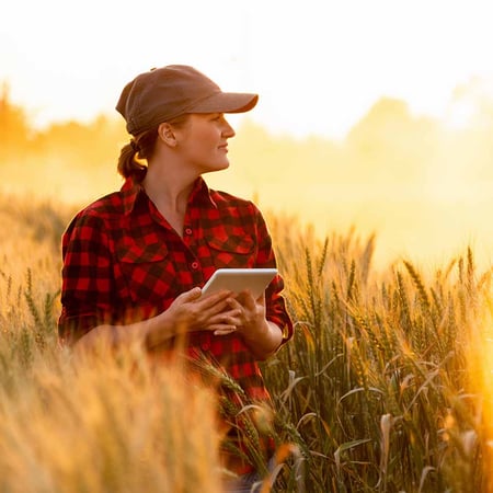 A woman stands in her wheat field and uses a tablet to check her accounts