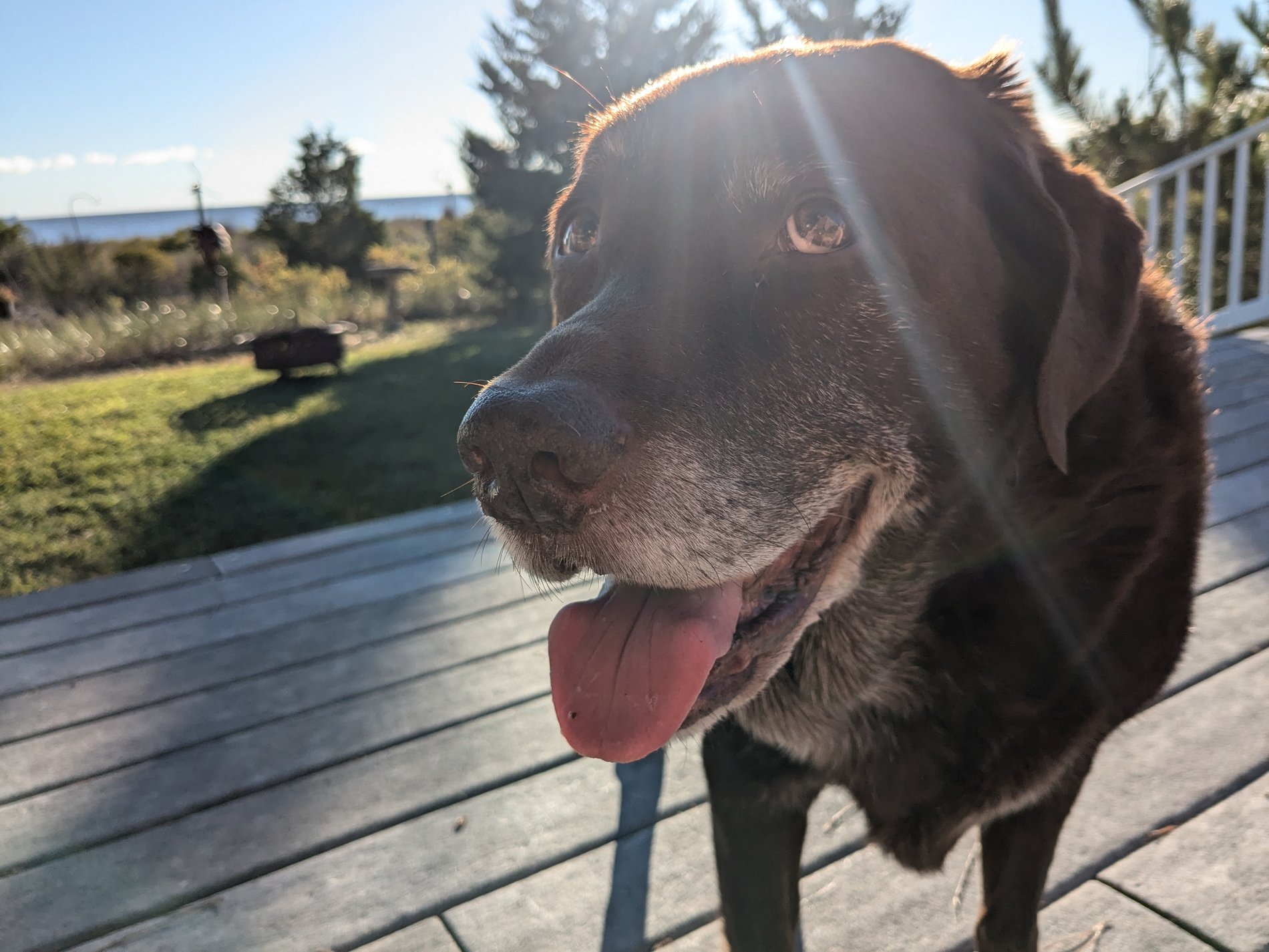 Here's sweet Norman