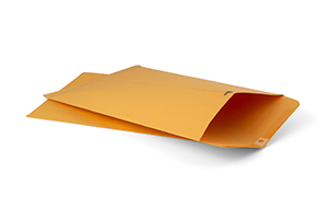 Clasp envelopes 2 pk.
10"x 15"