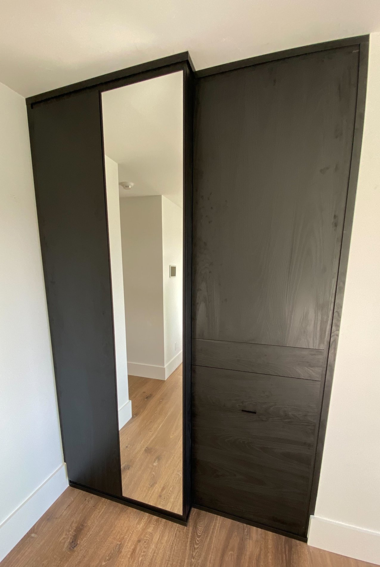 Modern Wardrobe in Black Custom Black wardrobe with glass door