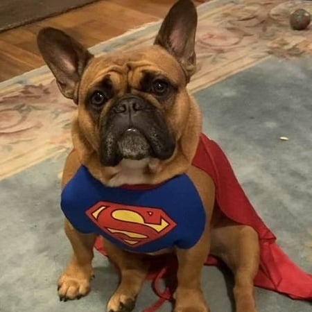 Photo of agent