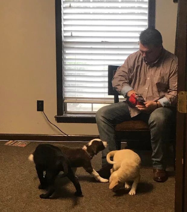 Jimmy taking a break to snack and spend time with the foster puppies.